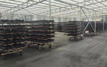 保定防水型<a href=http://weiqiwangvip.cn/fwzhxt/ target=_blank class=infotextkey>蜂窩活性炭</a>廠家報(bào)價(jià)